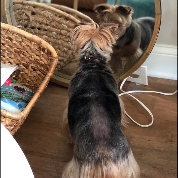 HUGE SALE IN PROGRESS.... 🤍🤍 - Picture 8 of 8